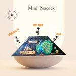 Mini Peacock 3face -1Pc/Box - Image 2