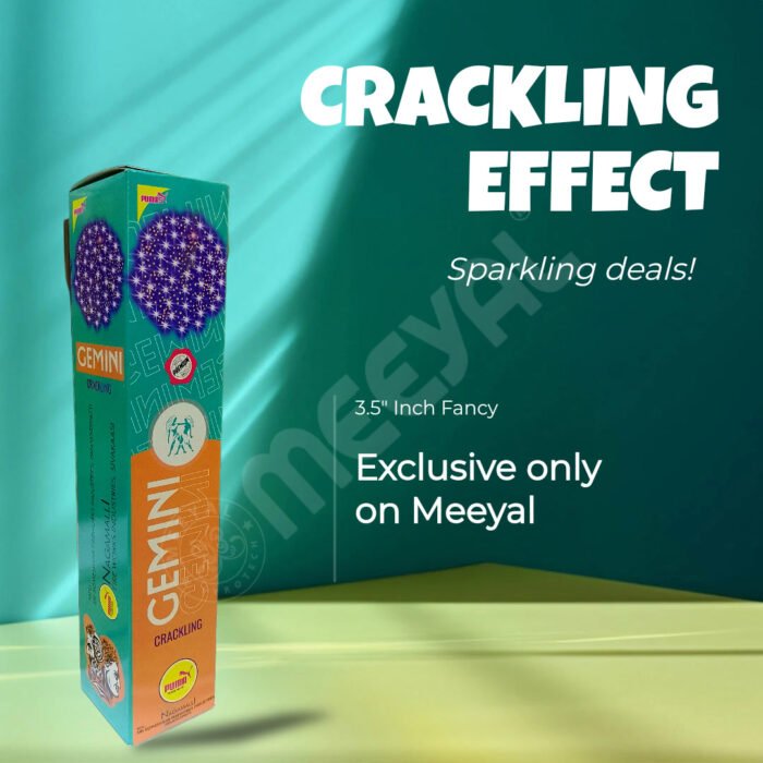 Gemini-1Pc/Box-3.5"Fancy - Image 2