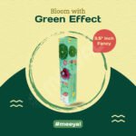 Pisces-1Pc/Box-3.5"Fancy - Image 2