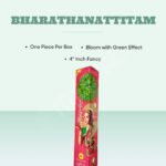 Bharathanattiyam-1Pc/Box-4.5"Fancy - Image 2